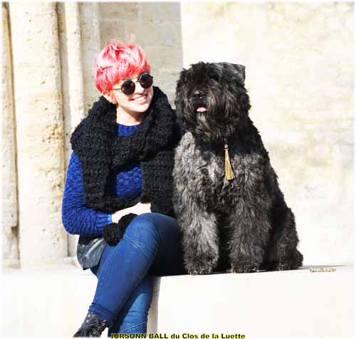 IURSONN du Clos de la Luette SITE WEB ELEVAGE DU CLOS DE LA LUETTE SPECIALISE POUR LE BOUVIER DES FLANDRES ©